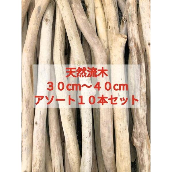 枝流木 30cm以上40cm未満  10本セット 南信州アルプス天然流木 格安アソートまとめ売り