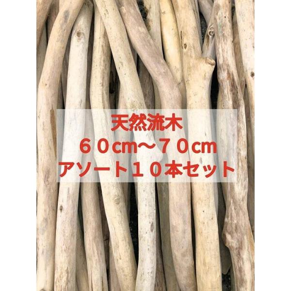 枝流木 60cm以上70cm未満  １０本セット 南信州アルプス天然流木 格安アソートまとめ売り