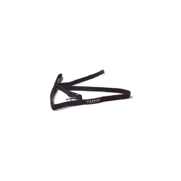 ybgpi  PUPPIA psA c[g[h  kTCY