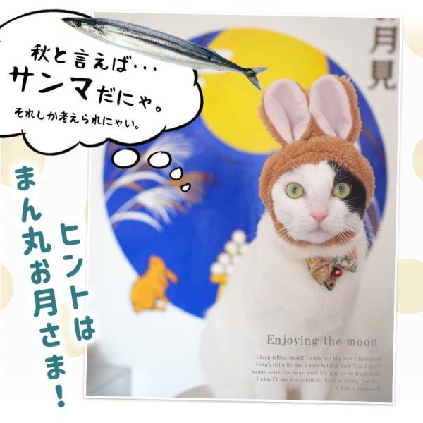 �E�H�[���X�e�b�J�[ �\�ܖ� ������ �H �g�t �y�������t�H�g�u�[�X�Z�b�g�z �͂����� �� �V�[�� �X�e�b�J�[ �ǎ� �傫�� ���� ����� �󒍈�� ���i�摜2