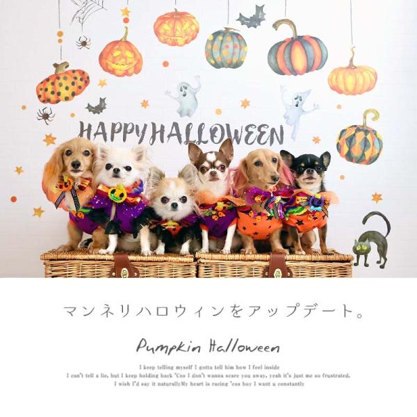 �E�H�[���X�e�b�J�[ �n���E�B�� ���� �y�p���v�L���z �͂����� �� �V�[�� �X�e�b�J�[ �ǎ� ���� ����� �C�x���g �w�i �W���b�N�I�����^�� ���ڂ��� ���i�摜1