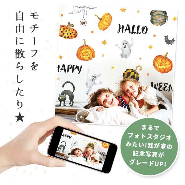 �E�H�[���X�e�b�J�[ �n���E�B�� ���� �y�p���v�L���z �͂����� �� �V�[�� �X�e�b�J�[ �ǎ� ���� ����� �C�x���g �w�i �W���b�N�I�����^�� ���ڂ��� ���i�摜4