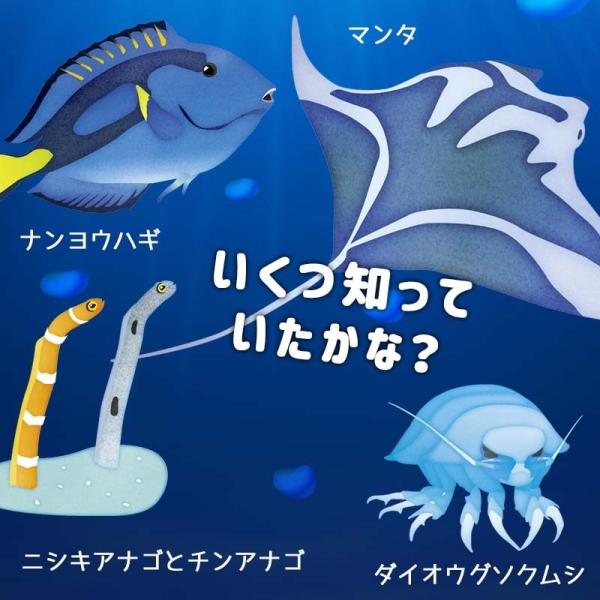 ウォールステッカー 海 魚 どこでもアクアリウム 夏 マリン 飾り はがせる シール 壁紙 Buyee Buyee 提供一站式最全面最专业现地yahoo Japan拍卖代bid代拍代购服务 Bot Online