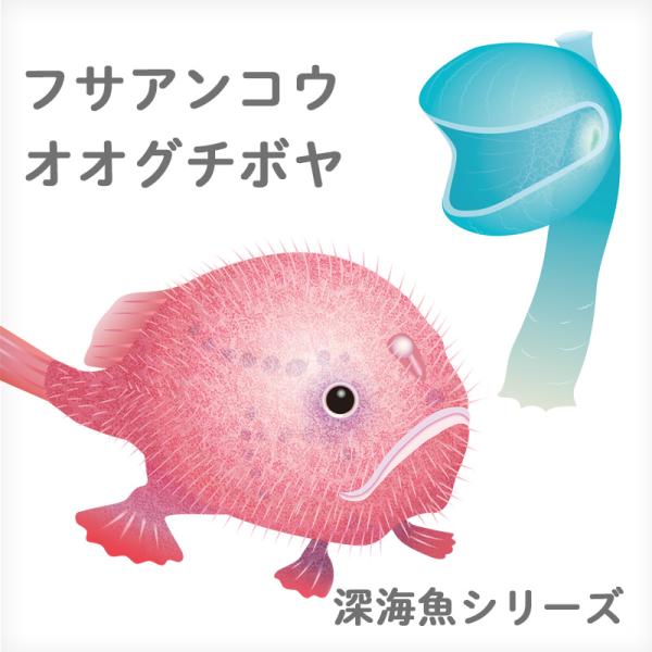 ウォールステッカー 日本製  はがせる 深海生物 深海魚 フサアンコウ オオグチボヤ  壁 シール ステッカー  魚 さかな 海の中 マリン 水族館 海の生き物