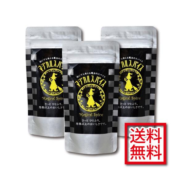 マジカルスパイス詰替3袋セット 送料無料 7 マジカルスパイス公式サイト 通販 Yahoo ショッピング