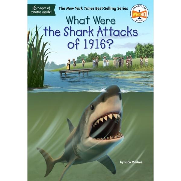What Were the Shark Attacks of 1916? (Paperback)