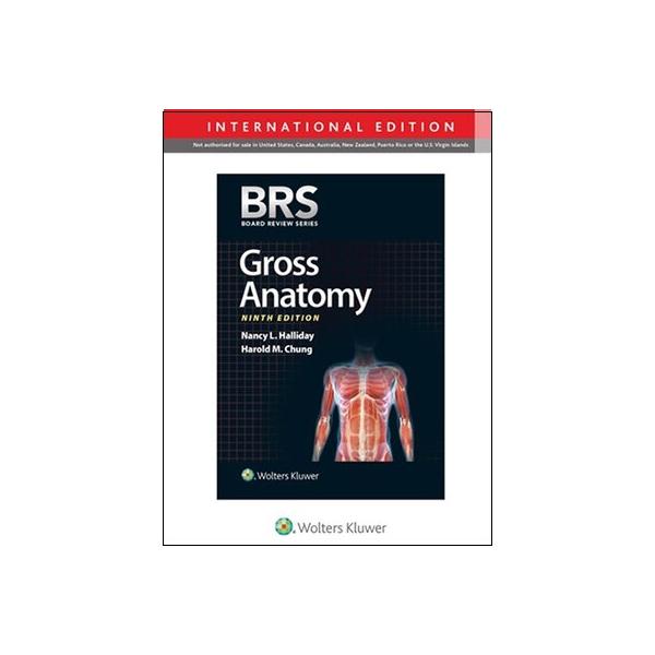 BRS GROSS ANATOMY 9E INT ED (Paperback)
