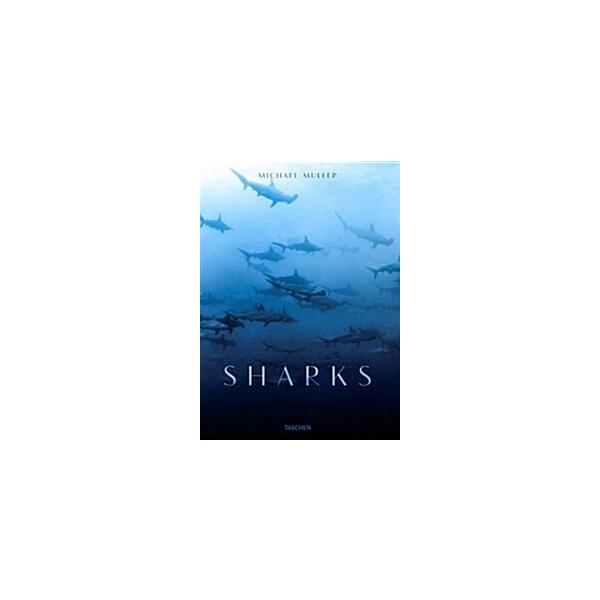 Michael Muller. Sharks (Hardcover)