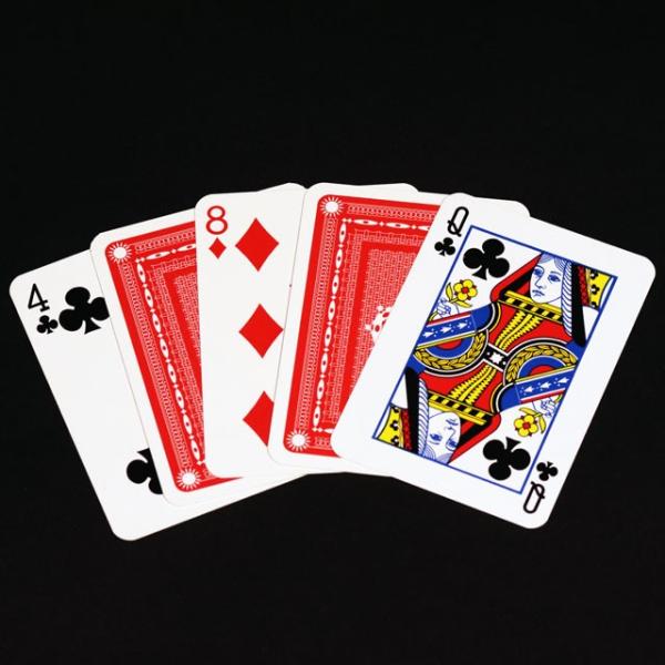 iE}WbN ANobgJ[h C5803