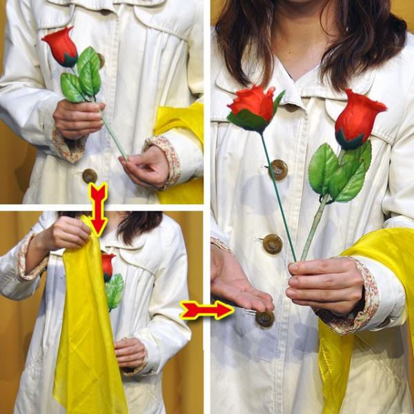 F52 分裂するバラ マジック 手品 Buyee Buyee Japanese Proxy Service Buy From Japan Bot Online