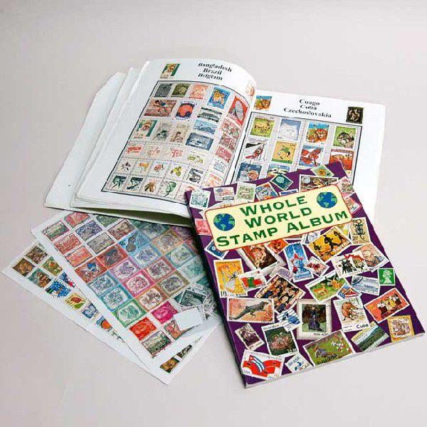 iE}WbN @g̐؎蒠 P7915