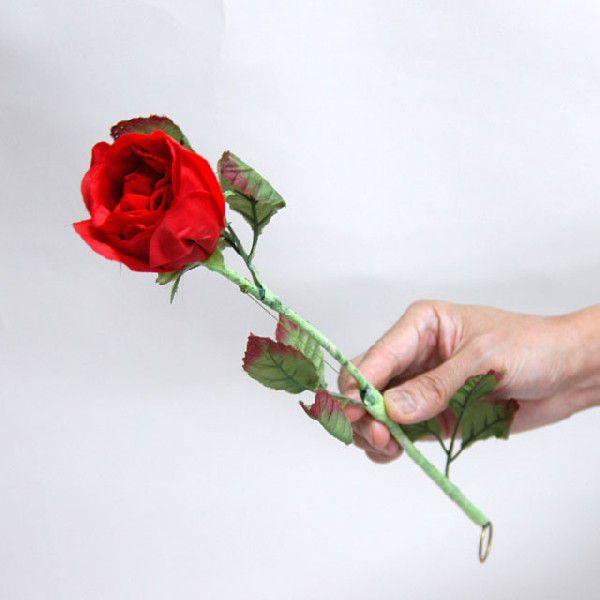 iE}WbN KNɂȂnJ`[t T5219