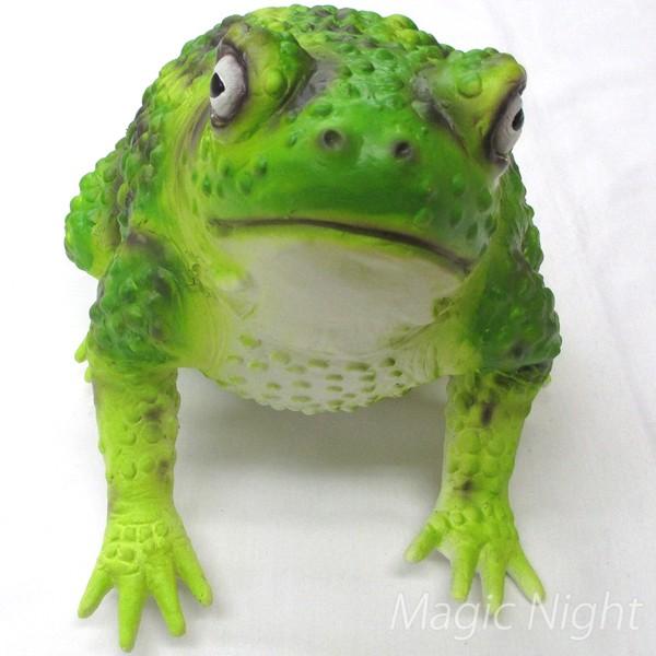 カエルの置物 メガトノサマガエル 24cm ジョークグッズ ビックリ ドッキリ いたずらグッズ 巨大 カエル おもちゃ Ac コスプレ衣装専門店マジックナイト 通販 Yahoo ショッピング