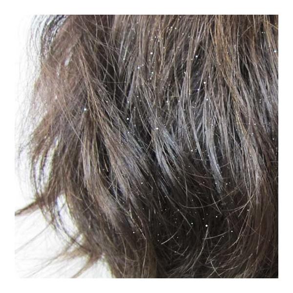 ヘアーグリッターラメスプレー シルバー ハロウィン 仮装用 Buyee Buyee Japanese Proxy Service Buy From Japan Bot Online