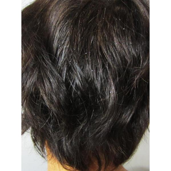 ヘアーグリッターラメスプレー シルバー ハロウィン 仮装用 Buyee Buyee Japanese Proxy Service Buy From Japan Bot Online
