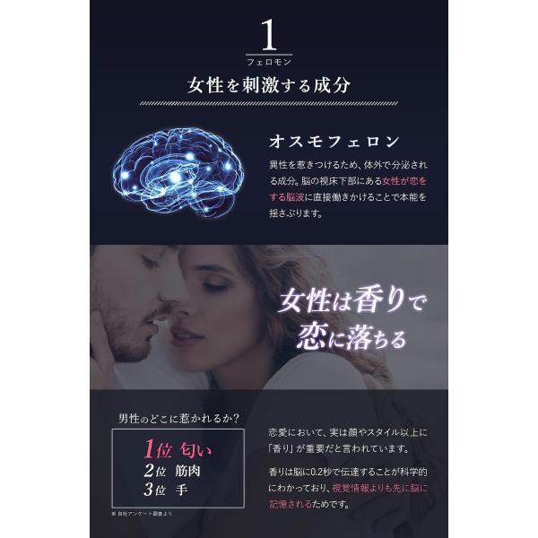 magina-online-shop_sw-ber-01_5