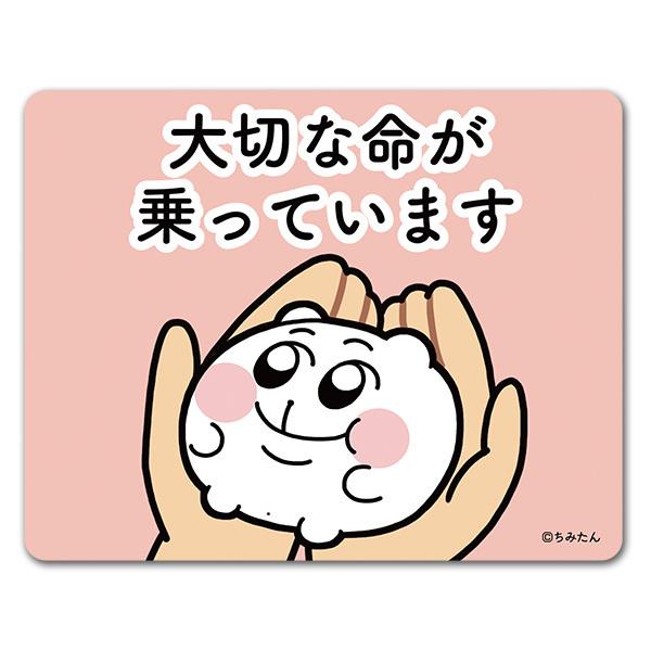 ちみたん 車マグネットステッカー 大切な命が乗っています 手の上のちみたん ゆうパケット対応210円〜