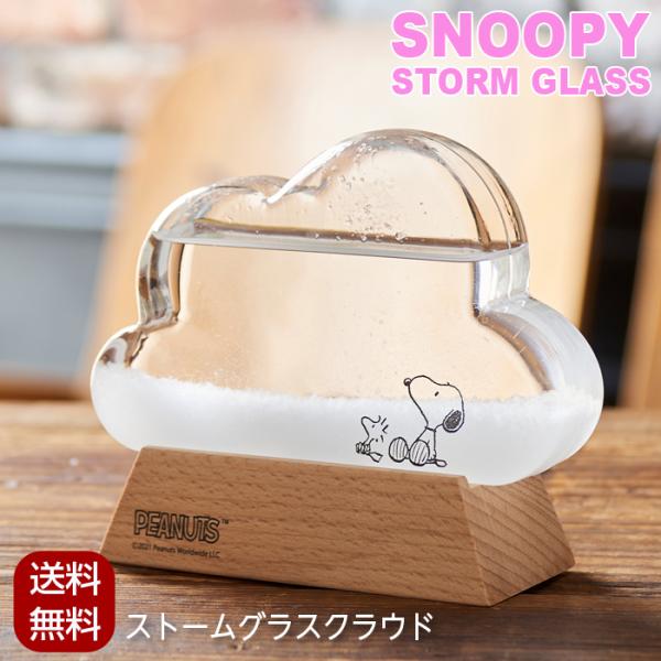 スヌーピー ストームグラス クラウド オブジェ 置き物 インテリア ピーナッツ おしゃれ 置物 天気 天気予報 気象計天候によって結晶の様子が変化する不思議なインテリアオブジェ「ストームグラス」です。■材質：ホウケイ酸ガラス、水、エタノール...