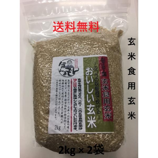 玄米食 普通の炊飯器で簡単に炊ける おいしい玄米 2kg×2袋 送料無料 