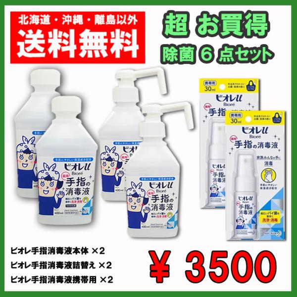 Biore お買得 除菌6点セット ビオレ手指の消毒液 本体×2、つけかえ×2