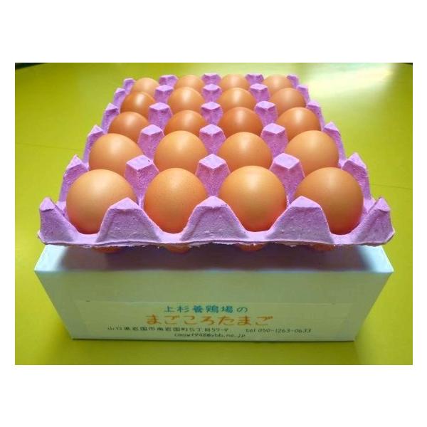 yzkCEʓrTOO~ ܂낽܂ 20@M`LTCY