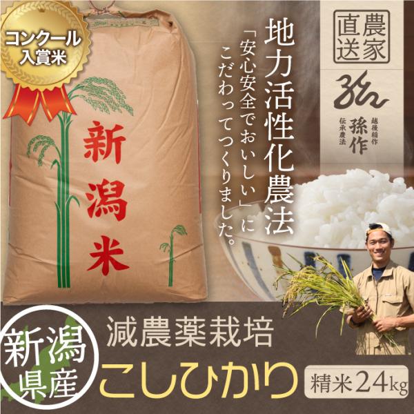 新潟県産 コシヒカリ 特別栽培米 24kg 令和6年産 新米 新潟県産 コシヒカリ 特別栽培米 24kg 令和6年産 新米