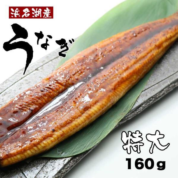 うなぎ  国産 ギフト プレゼント 食べ物 海鮮福袋 海産物 食品 お取り寄せ うなぎ 国産 ギフト 浜名湖産うなぎ160g×2尾 86055