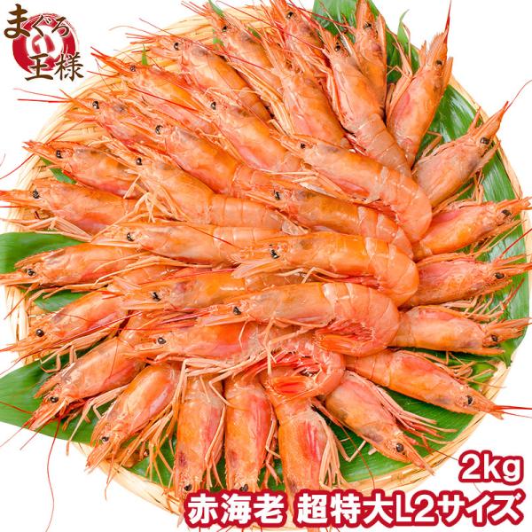 父の日 赤海老 赤えび 2kg 特大 L2 40〜60尾 業務用 1箱 赤エビ あかえび アカエビ 寿司 刺身用