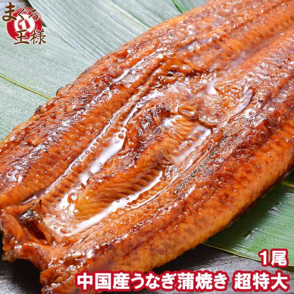お中元 超特大 うなぎ 蒲焼き 平均330g前後×1尾 タレ付き 中国産 うなぎ ウナギ 鰻 蒲焼き