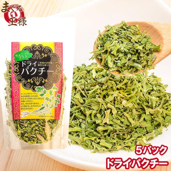 ドライパクチー 25g×5パック ポイント消化 食品 メール便 : マグロ問屋