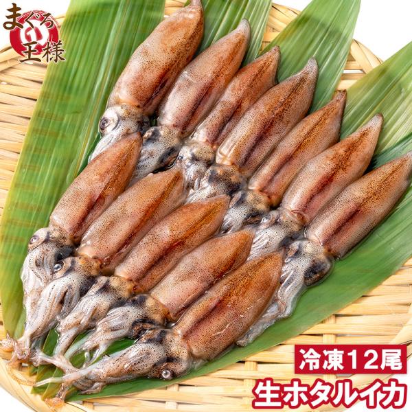 生 イカの人気商品 通販 価格比較 価格 Com