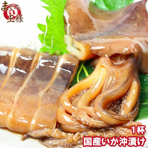お中元 特大国産真いかの沖漬け 1杯×1パック いか イカ 烏賊