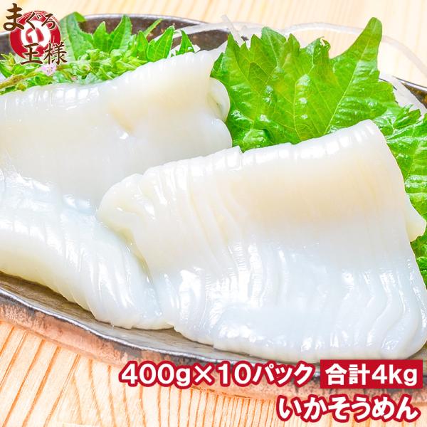お中元 国産 いかそうめん イカソーメン 合計4kg 400g×10パック スルメイカ いか イカ 烏賊