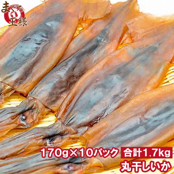 お中元 丸干しいか 合計1.7kg前後 170g×10パック イカワタ入り いか イカ スルメイカ