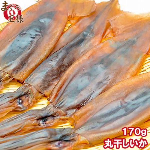 お中元 丸干しいか 170g前後 3〜5杯×1パック イカワタ入り いか イカ スルメイカ