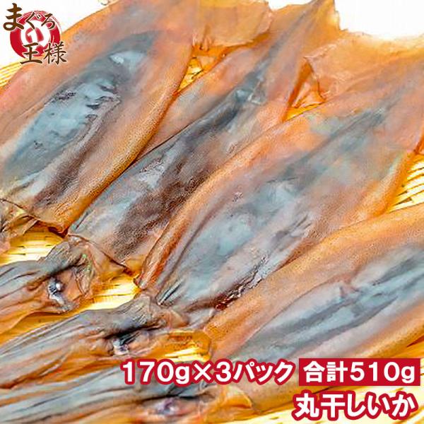 お中元 丸干しいか 合計510g前後 170g前後 3〜5杯×3パック イカワタ入り いか イカ スルメイカ