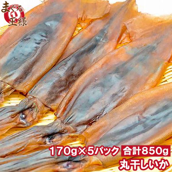 お中元 丸干しいか 合計850g前後 170g前後 3〜5杯×5パック イカワタ入り いか イカ スルメイカ