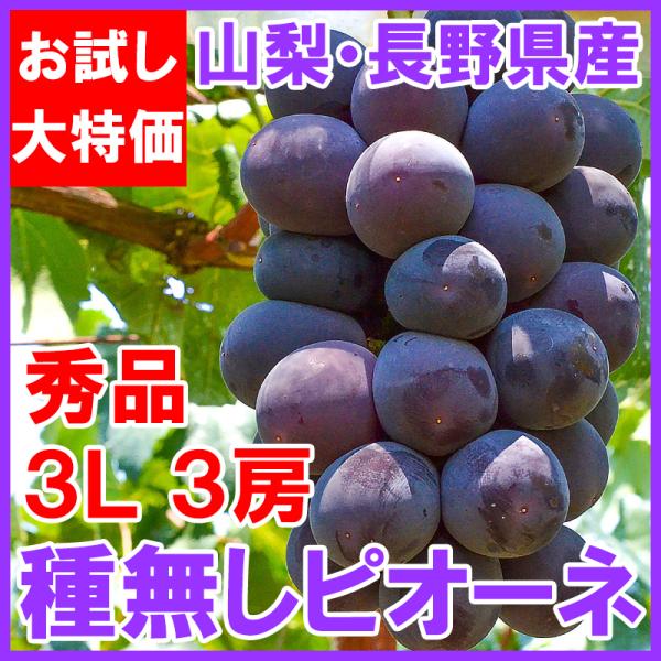 ぶどう ピオーネ 2kg」の人気商品一覧 | 安い商品を通販サイト