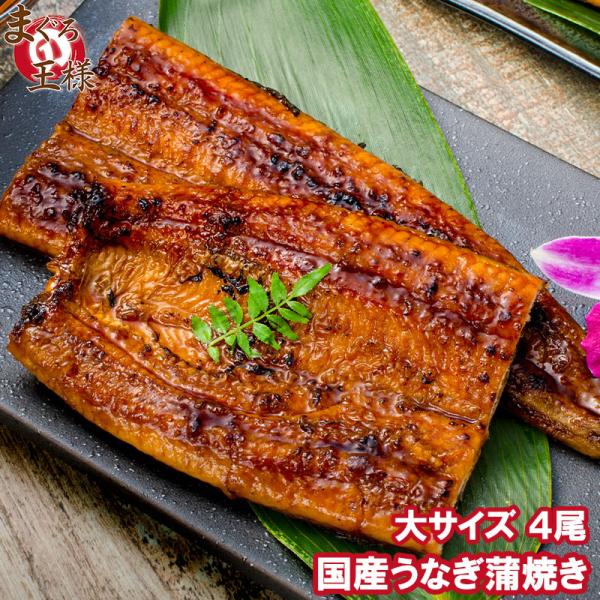 お中元 国産 うなぎ蒲焼き 大サイズ 平均165g前後×4尾 うなぎ ウナギ 鰻 蒲焼き