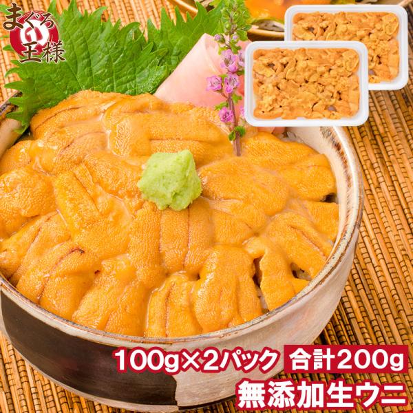 生うに 100gの人気商品 通販 価格比較 価格 Com