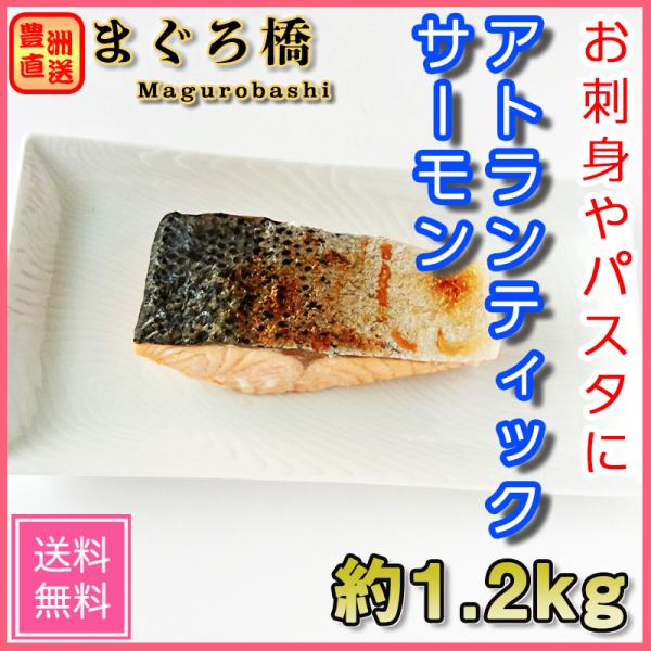 アトランティックサーモン約1 4kg フィレ生食用お刺身用鮭業務用豊洲市場築地 Buyee 日本代购平台 产品购物网站大全 Buyee一站式代购bot Online