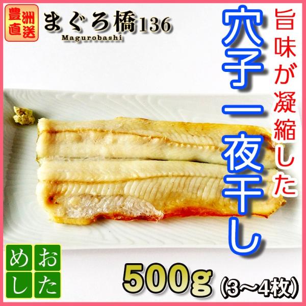 穴子 一夜干し 約500g おつまみ 珍しい 干物 冷凍 あなご ギフト 父の日 お中元 業務用 豊洲直送 Buyee Buyee Japanese Proxy Service Buy From Japan Bot Online