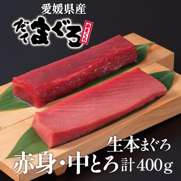 マグロ赤身 中とろ すずらん 生本マグロ（だてまぐろ）赤身・中とろ計400g柵（さく） 鮪 伊達