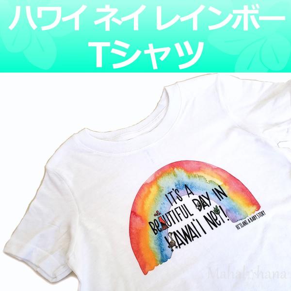 nC  TVc (nC lC C{[) 90 xr[  I[KjbN Rbg a 1 2 j̎q ̎qp