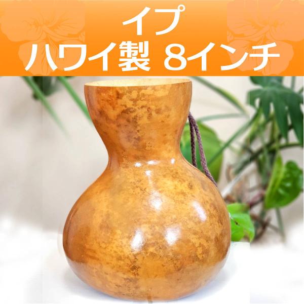 「イプ」フラ ハワイアン フラダンス 楽器 イプ ヘケ オレ 8インチタイプ (M