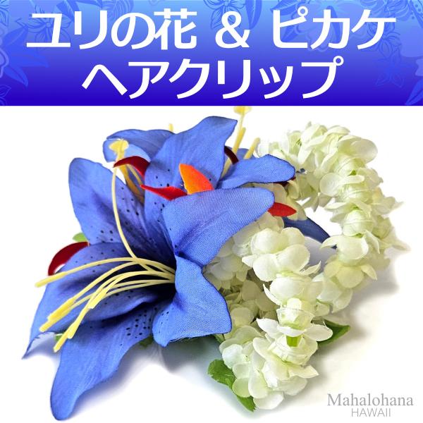 mahalohana_hula114