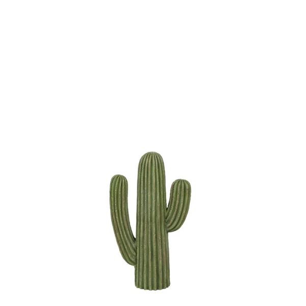 _g Cactus T{e@IuWF@K655-657 Type-D