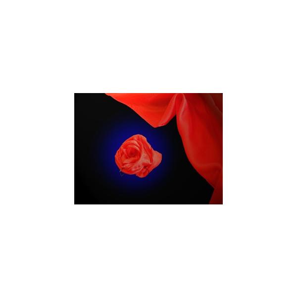 かんたん、おしゃれな、ワンポイント・マジック（手品）。胸に付けたバラの花を摘むとシルクのハンカチーフに変化します。オープニングや演技のつなぎ等にお洒落に使える小道具です。※付属のシルクの色は「赤」ですが別の色のシルクを使う事もできます。・輸...