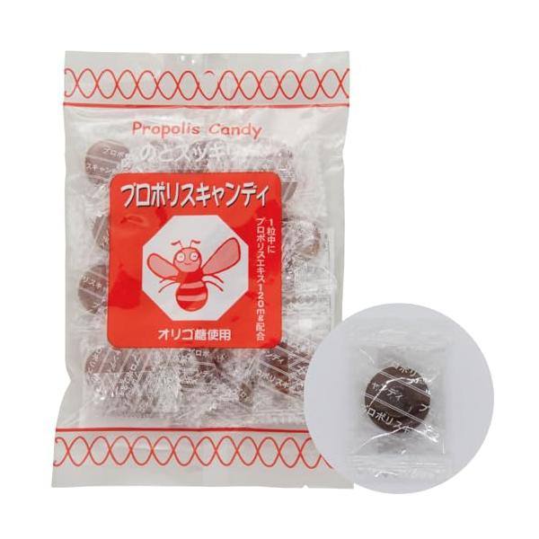 他サイト： プロポリスキャンディ 100gの商品画像