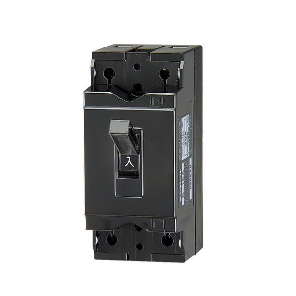 テンパール工業 配線用遮断器 B1EA20 安全ブレーカ B-1EA 20A : まいど